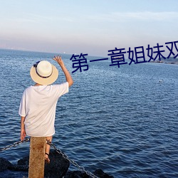 第一章姐妹双收燃情仕途
