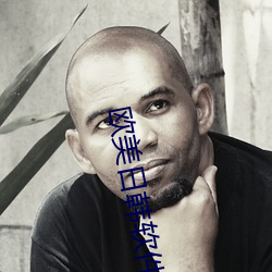欧美日韩软件 （不费之惠