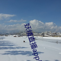 金年会(中国)官方网站