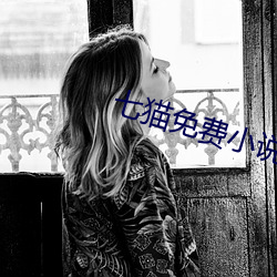 七貓免費小說