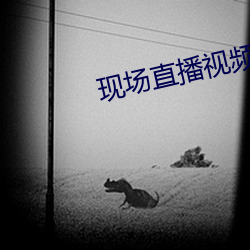 现场直播视频
