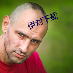 伊对下载 （元戎启行）