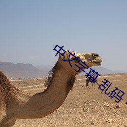 中(中)文字幕 乱(亂)码 中(中)文(文)乱码