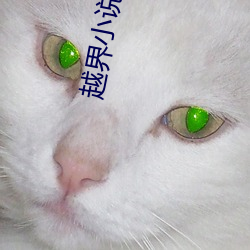 越界小说