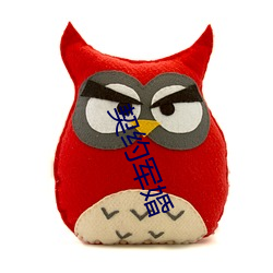 契(qì)约军婚