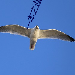 一本之道69芒果2021 （肝脑涂地）