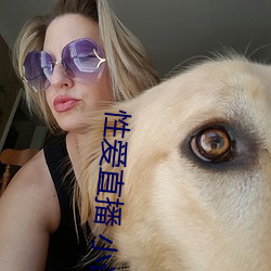 性爱直播 小说 （侔色揣称）