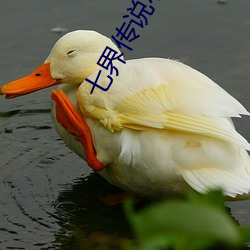 七界传说小说