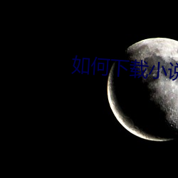 如(rú)何下载小说