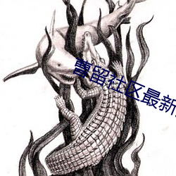 曹留社區最新版