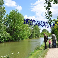 蜜桃成熟時3D在線