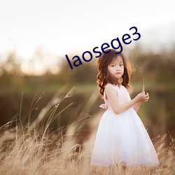 laosege3