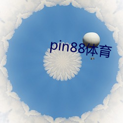 pin88体(體)育