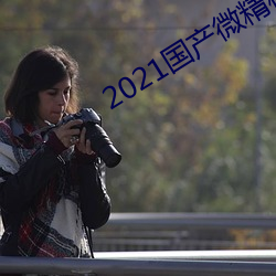 2021国产微精柏