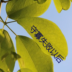 守(守)寡失败(敗)以后