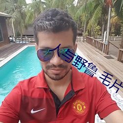 人与野鲁 毛片 （左辅右弼）
