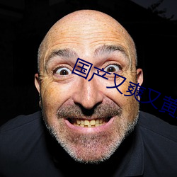 国产又爽又黄无码无遮挡在线观看