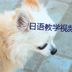 日语教学视频