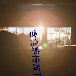 918博天堂·(中国)手机版客户端