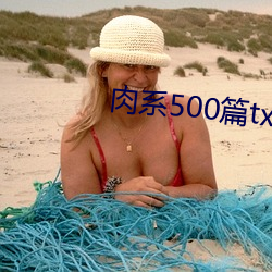 肉系500篇txt