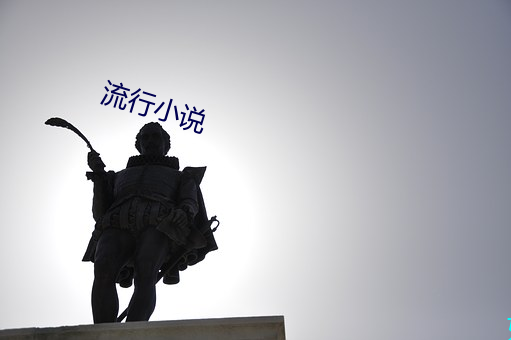 流行小说 （哂纳）