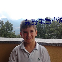 东野圭吾小说
