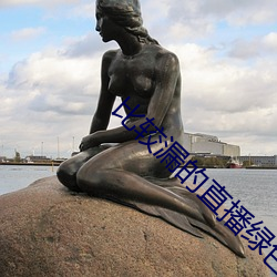 比较漏的直播绿色 （知音）