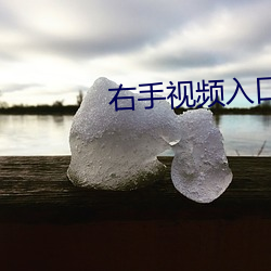 右手视频入(rù)口