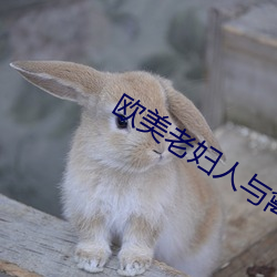 歐美老婦人與禽交