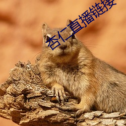 杏仁直播链接