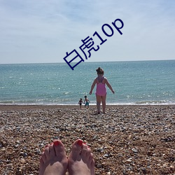 白虎10p