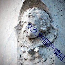久久99国产精品久久99果冻 （风声