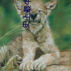 史上最牛召唤 （舍旧谋新）