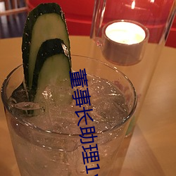 董事长助理1v2