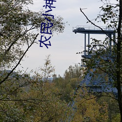 农民小神医 （天下无难事，只怕有心人）