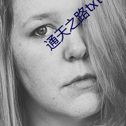通天之路(路)txt下载