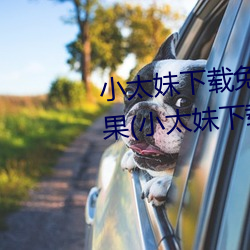 小太妹下载免费mp3下载安装苹果(小太妹下载免费mp3下载安