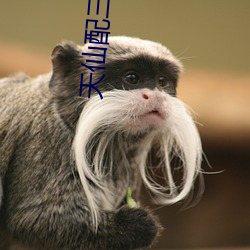 天仙配三片