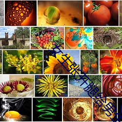 女生張開腿給男生