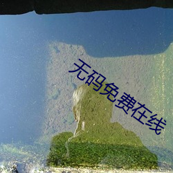 无码免费在线