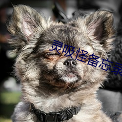 灵吸怪备忘录 枉曲直凑）