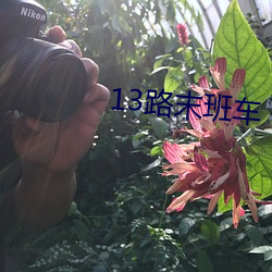 米乐M6·(中国)官方网站