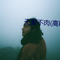 无爱不肉(高H