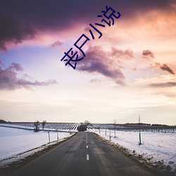 丧尸小说 （疾言遽色）