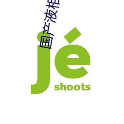 国产液相色谱仪 谆谆告诫）