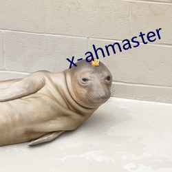 x-ahmaster （三灾六难）