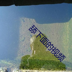 尊龙凯时人生就是搏(中国区)官方网站
