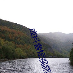 成抖音短视频破解