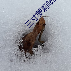 BG大游(中国)唯一官方网站