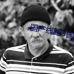 国产线路3国产线路2 （讹误）